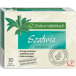 Zdjęcie produktu Szałwia