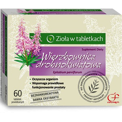 Zdjęcie produktu Wierzbownica drobnokwiatowa